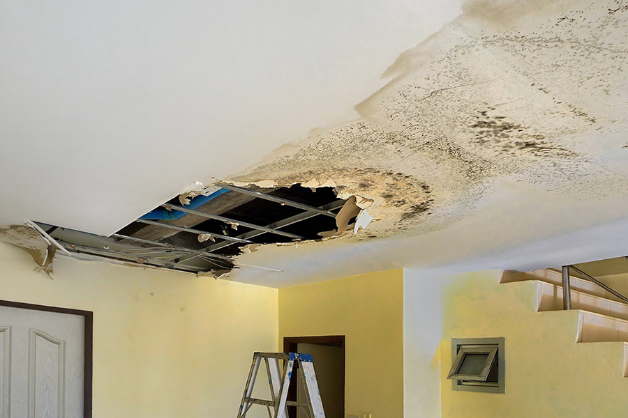 Signs of a Plumbing Leak